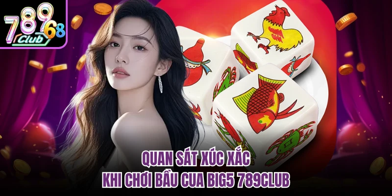 Tựa Game Bầu Cua Big5 789CLUB - Luật Chơi Chi Tiết Quan sát xúc xắc khi chơi bầu cua big5 789CLUB